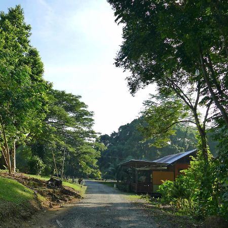 Sepilok B&B Luaran gambar