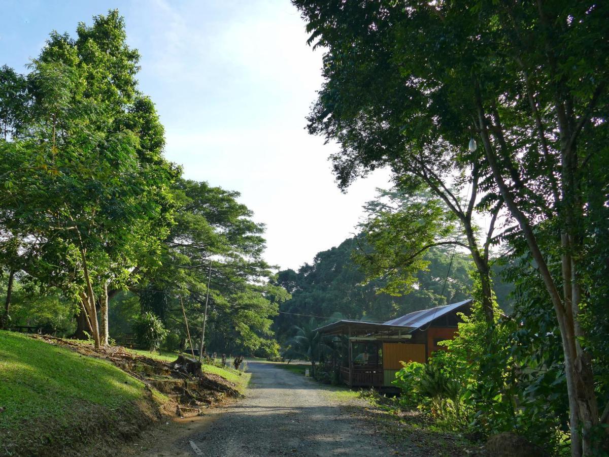Sepilok B&B Luaran gambar