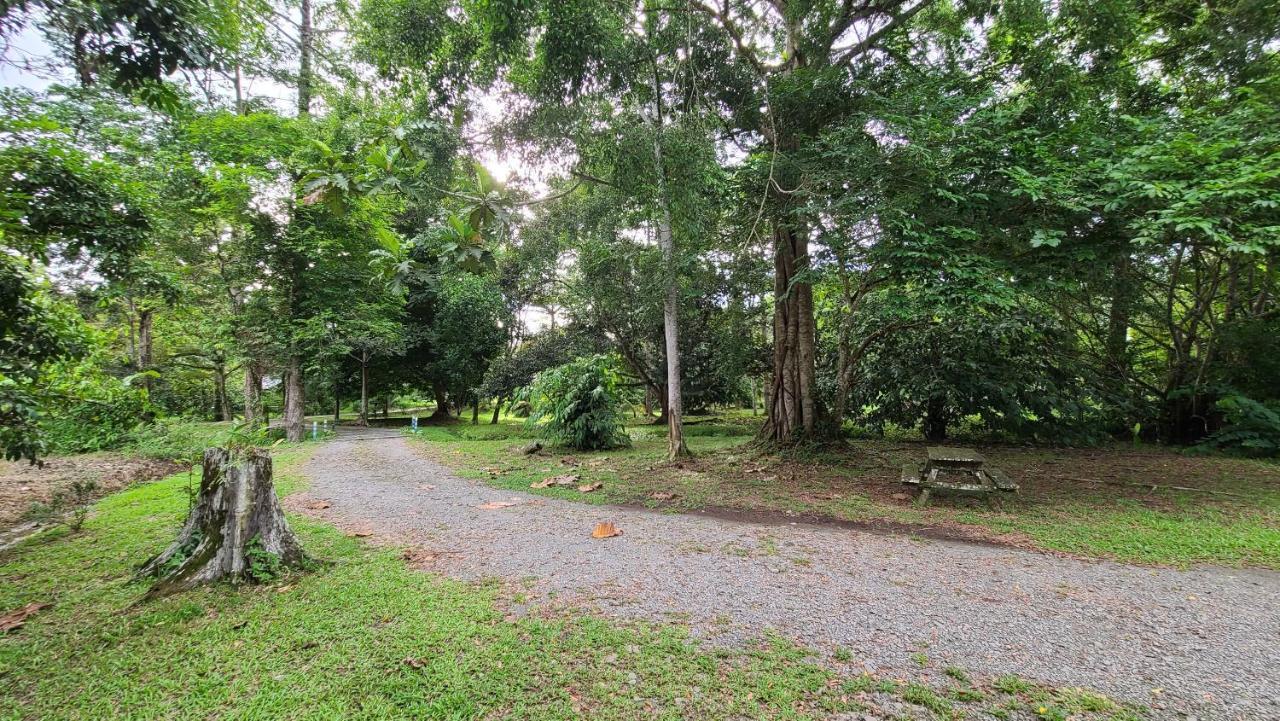 Sepilok B&B Luaran gambar