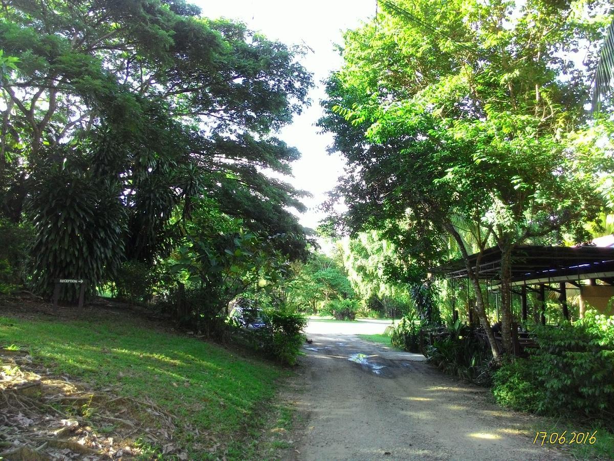 Sepilok B&B Luaran gambar